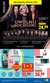 Lidl gazetka Strona 55