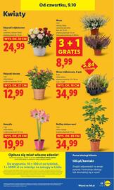 Lidl gazetka Strona 59