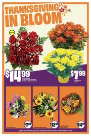 FreshCo flyer Page 6