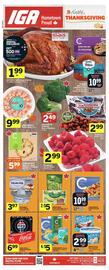 IGA flyer Page 1