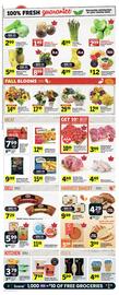 IGA flyer Page 3