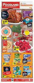 Foodland flyer week 41 Page 1