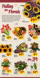 Farm Boy flyer week 41 Page 8