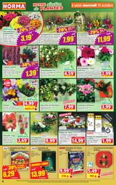 Catalogue Norma semaine 42 page 4