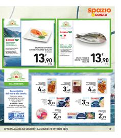 Volantino Spazio Conad Pagina 17