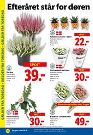 Lidl tilbudsavis uge 42 Side 28