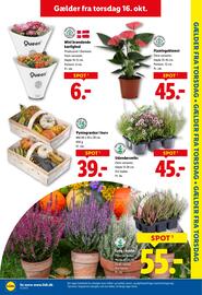 Lidl tilbudsavis uge 42 Side 29