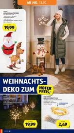 Hofer Flugblatt woche 41 Seite 24