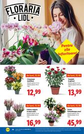 Catalog Lidl săptămâna 42 Pagină 36