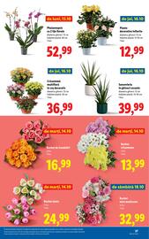 Catalog Lidl săptămâna 42 Pagină 37