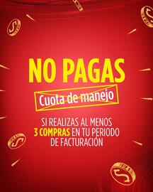 Catálogo Flamingo Página 4