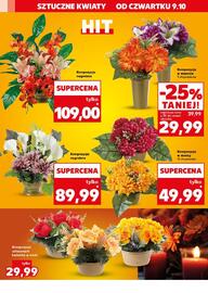 Kaufland gazetka tydzień 41 Strona 14