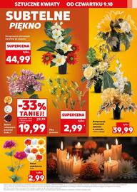Kaufland gazetka tydzień 41 Strona 15