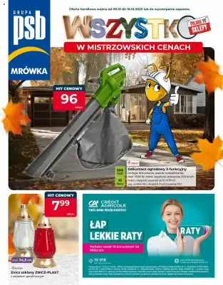 Mrówka gazetka (ważność do 18-10)
