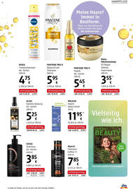 Dm Flugblatt Seite 17