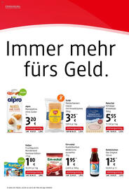 Dm Flugblatt Seite 4