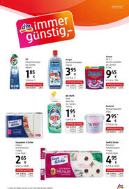 Dm Flugblatt Seite 7