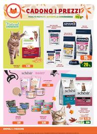 Volantino Elite Pet Pagina 10