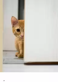 Catalogue Doras page 76