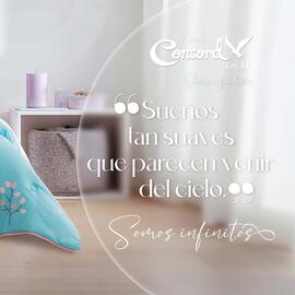 Catálogo Colchas Concord semana 41 Página 4
