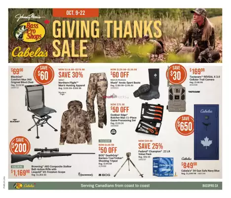 Cabela's flyer