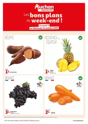 Auchan folder