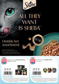 Carrefour folder Pagina 8