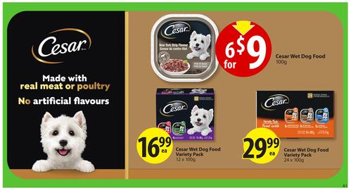 Save on Foods flyer Page 31