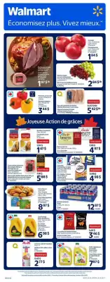 Walmart flyer (valid until 22-10)