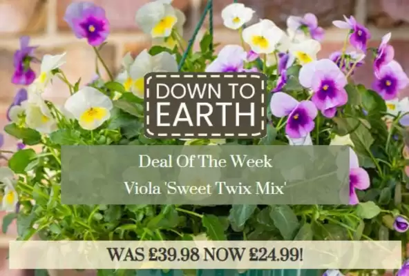 Dobbies catalogue (valid until 25-10)