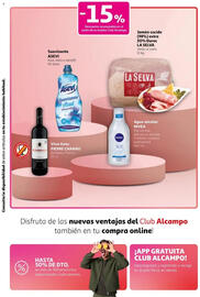 Folleto Alcampo Página 10