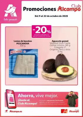 Folleto Alcampo (válido hasta el 22-10)