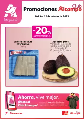 Folleto Alcampo (válido hasta el 22-10)