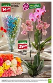 Stokrotka Market gazetka tydzień 41 Strona 7
