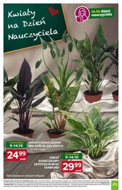 Stokrotka Market gazetka tydzień 41 Strona 8