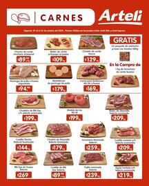 Catálogo Arteli express Página 1