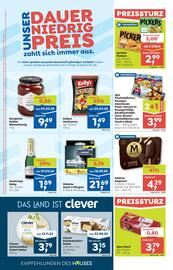 ADEG Flugblatt woche 41 Seite 4
