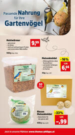Thomas Philipps Prospekt woche 42 Seite 9