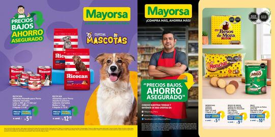 Catálogo Mayorsa Página 1
