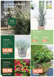 Plantorama tilbudsavis Side 2