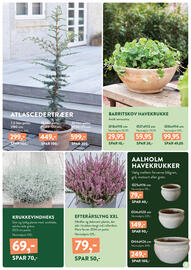 Plantorama tilbudsavis Side 3