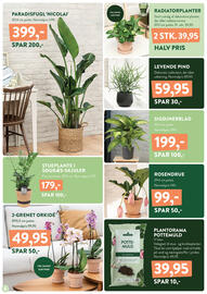 Plantorama tilbudsavis Side 6