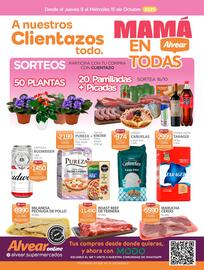 Catálogo Alvear semana 41 Página 1