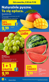 Lidl gazetka Strona 26