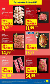Lidl gazetka Strona 31