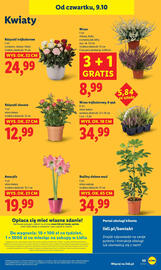 Lidl gazetka Strona 59