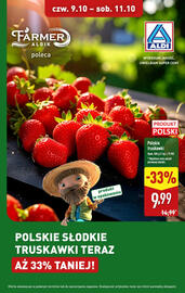 ALDI gazetka Strona 9