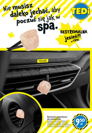 Tedi gazetka Strona 22