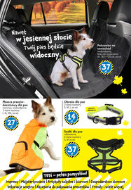 Tedi gazetka Strona 27