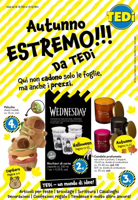 Volantino Tedi (valido fino al 18-10)